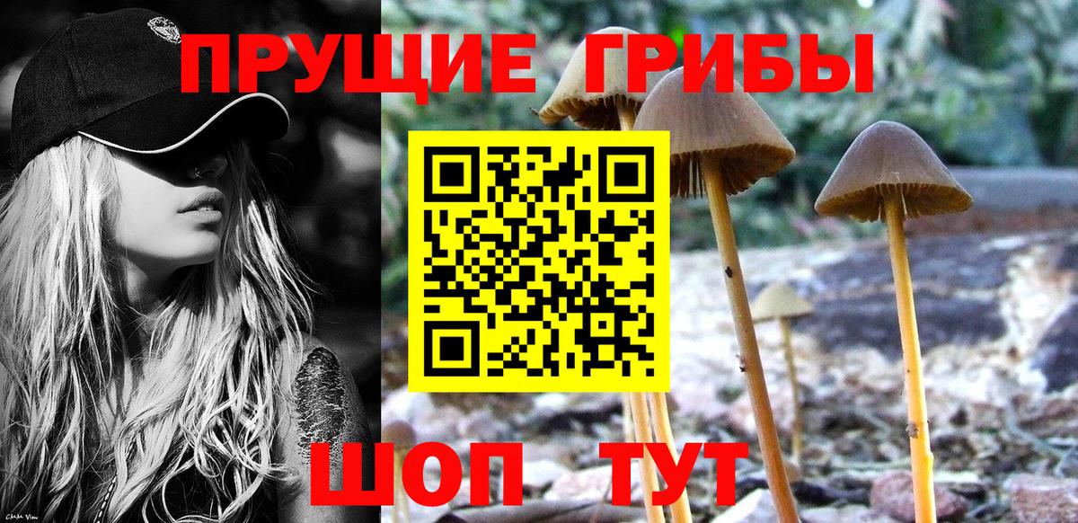 Галлюциногенные грибы MAGIC MUSHROOMS Обнинск